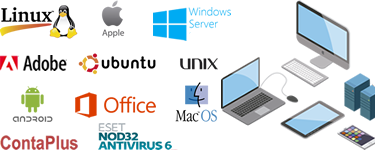 Software Adaptado